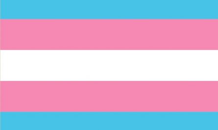 bandera trans